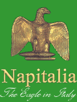 Napitalia - The Eagle in Italy
